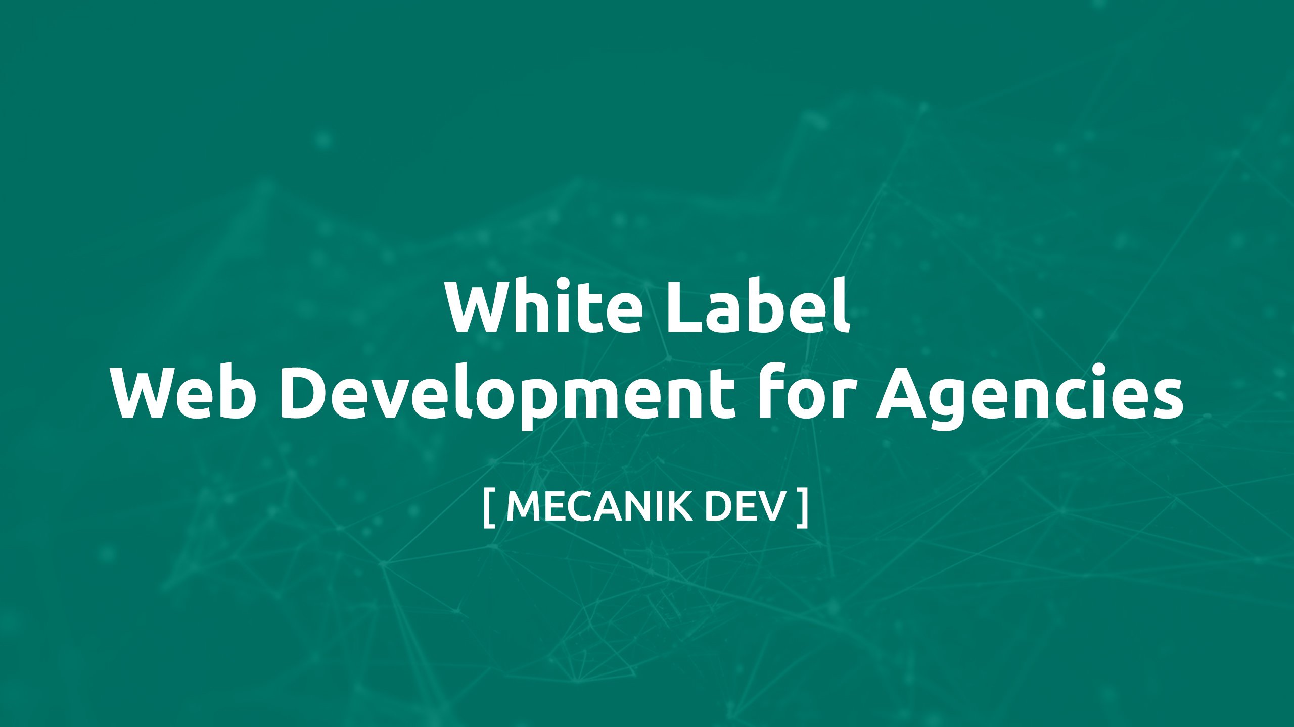 Sviluppo web white label per agenzie