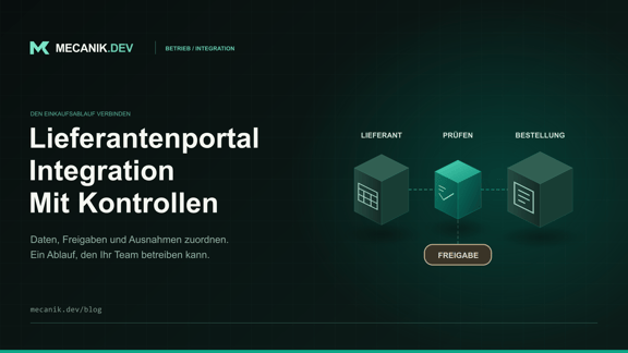 Lieferantenportal-Integration: Umfang, Kontrollen und Kosten