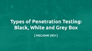 Types of Penetration Testing: Black, White and Grey Box