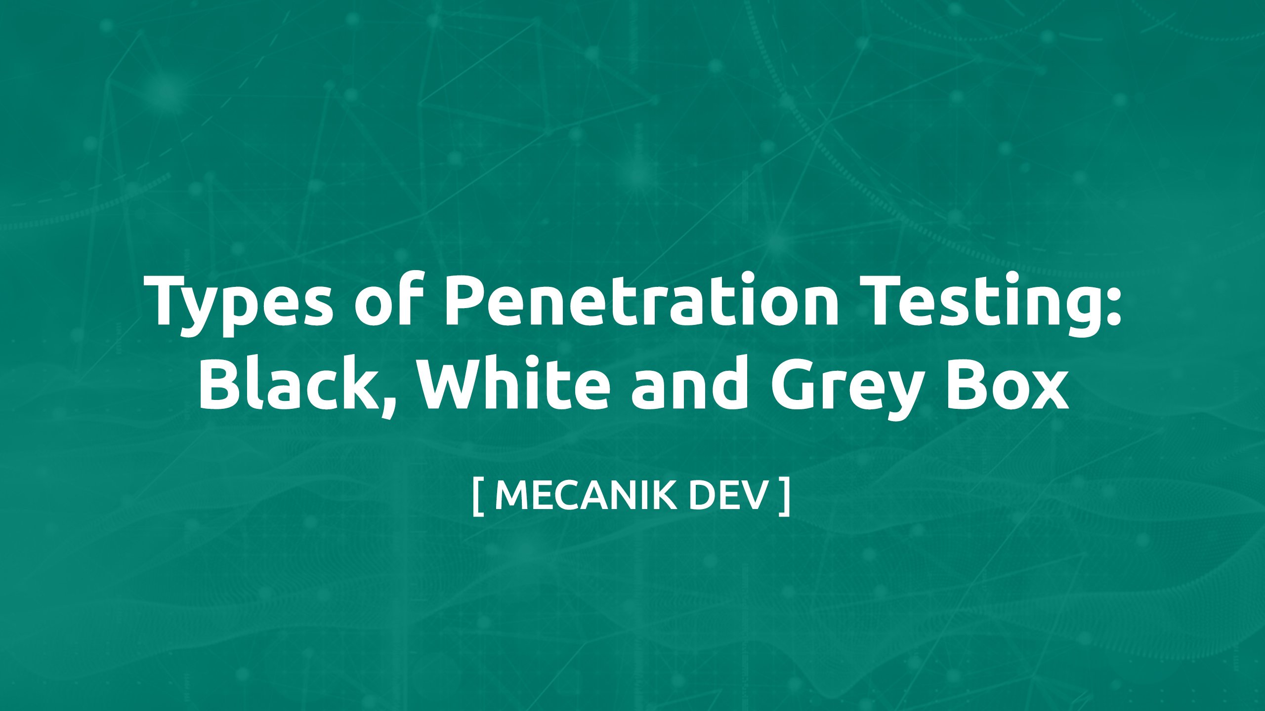 Types de tests d'intrusion : black, white et grey box
