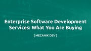 Enterprise Software Development Services: What You Are Buying